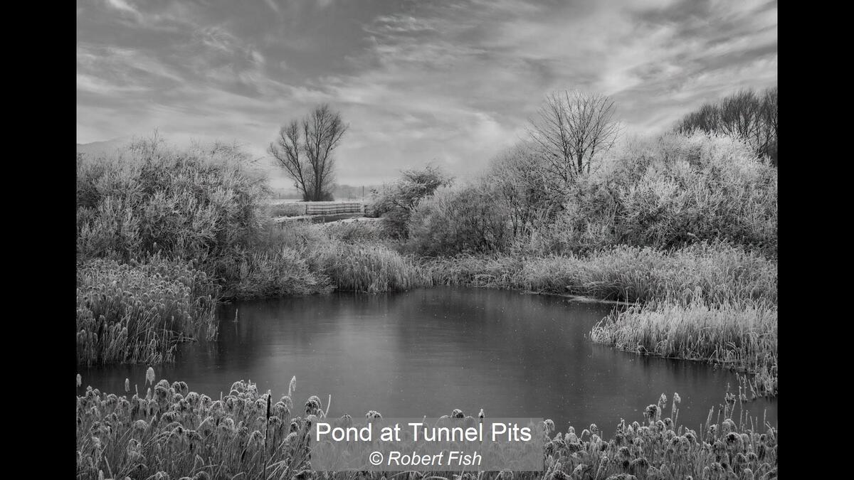 Pond at Tunnel Pits